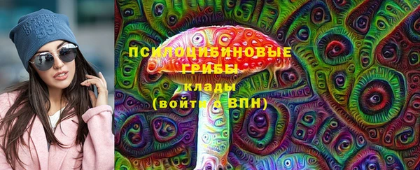 мет Коряжма