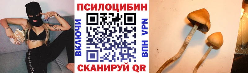 купить наркотики сайты  Михайловка  Галлюциногенные грибы MAGIC MUSHROOMS 
