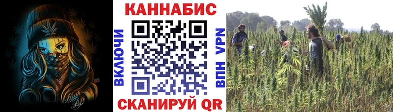 Марихуана тримм  купить наркотик  Михайловка 